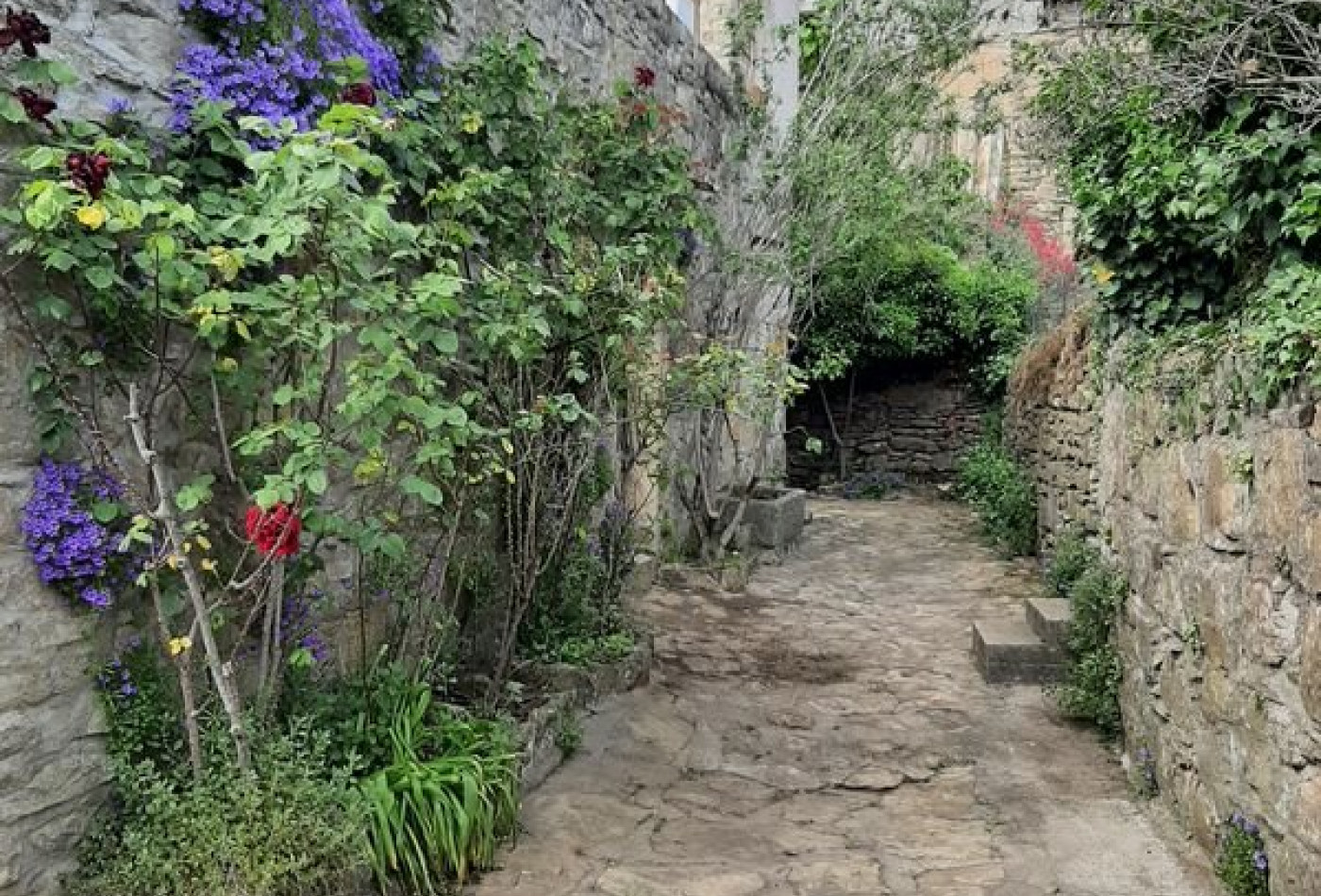 vente Maison de hameau Vesseaux - Photo 5