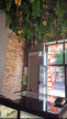 à louer Local commercial Villeurbanne