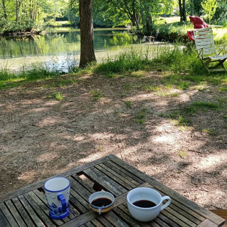 à vendre Terrain de loisir Verdelot - Photo 5