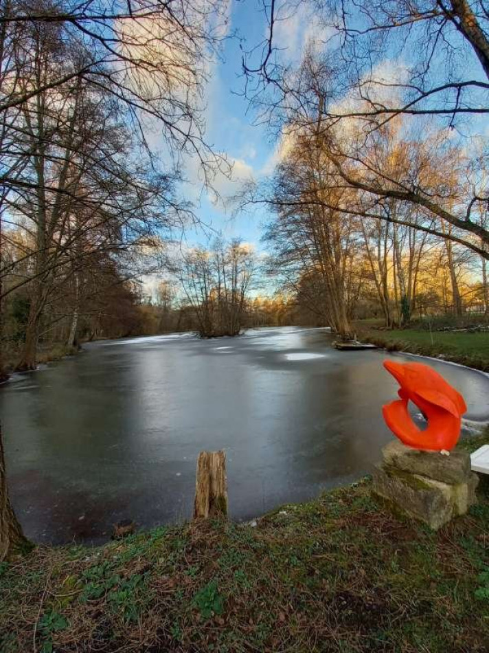 à vendre Terrain de loisir Verdelot - Photo 6