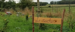 vente Terrain de loisir Verdelot