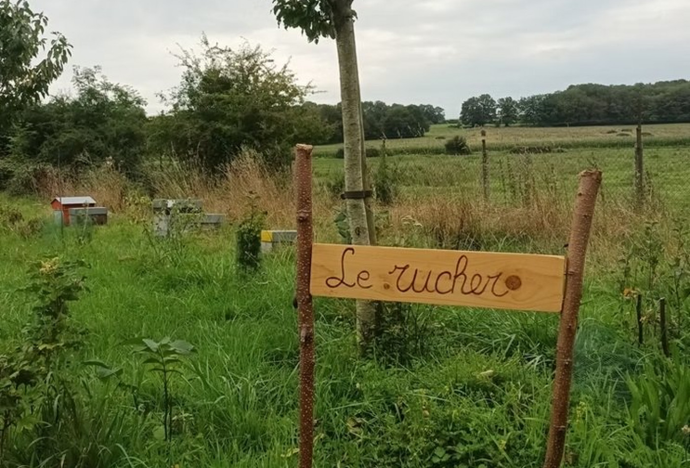vente Terrain de loisir Verdelot - Photo 10