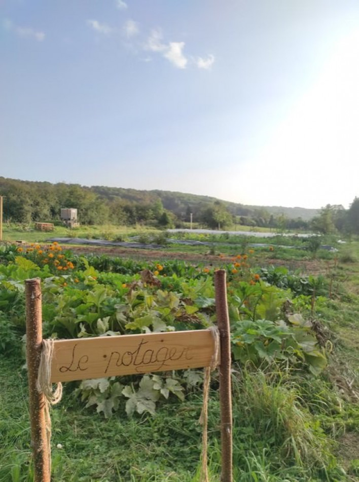 à vendre Terrain de loisir Verdelot - Photo 11