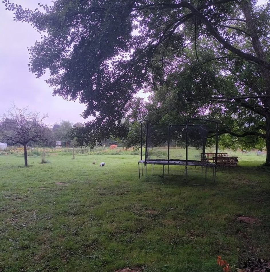 à vendre Terrain de loisir Verdelot - Photo 12