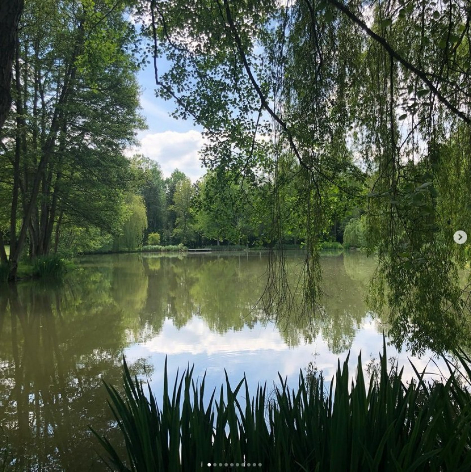 à vendre Terrain de loisir Verdelot - Photo 3