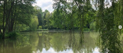 vente Terrain de loisir Verdelot
