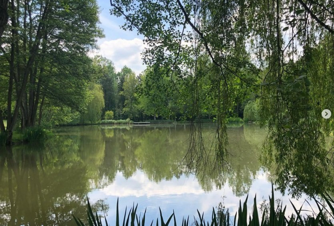 vente Terrain de loisir Verdelot - Photo 3