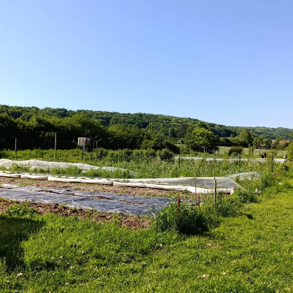 à vendre Terrain de loisir Verdelot - Photo 4