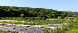 vente Terrain de loisir Verdelot