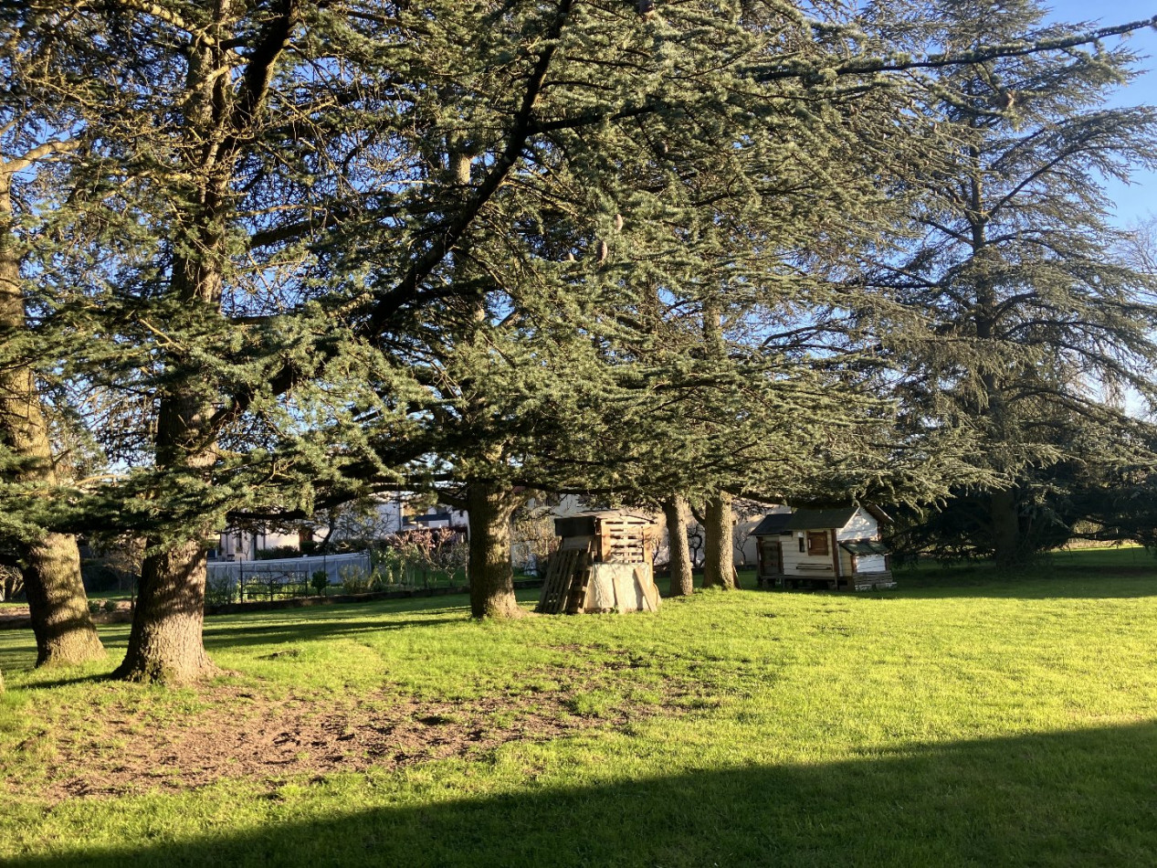 à vendre Terrain Marcy L'etoile - Photo 9