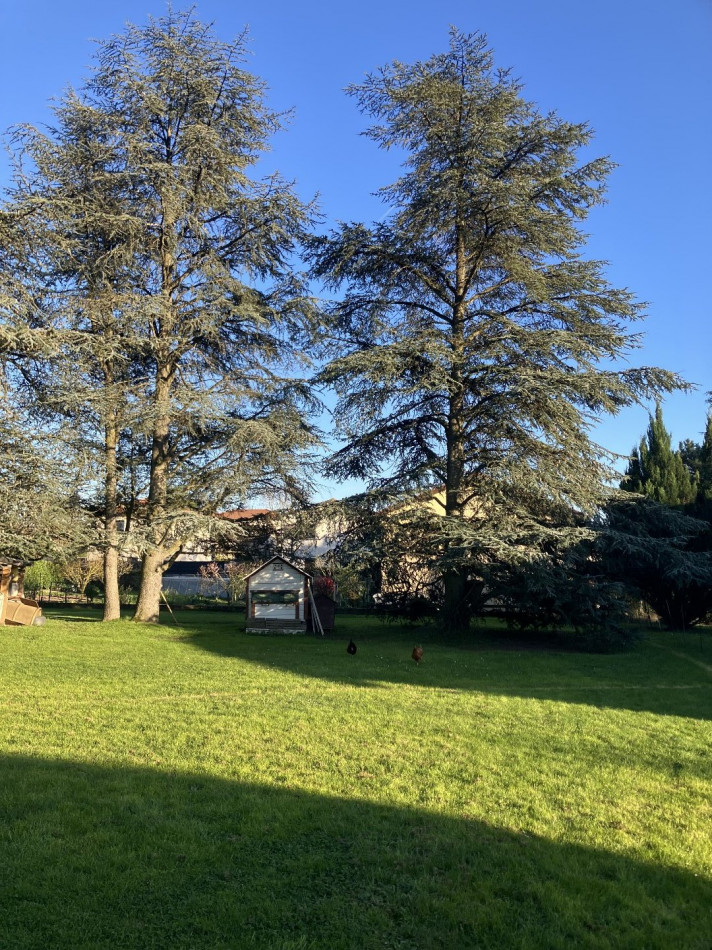 à vendre Terrain Marcy L'etoile - Photo 7