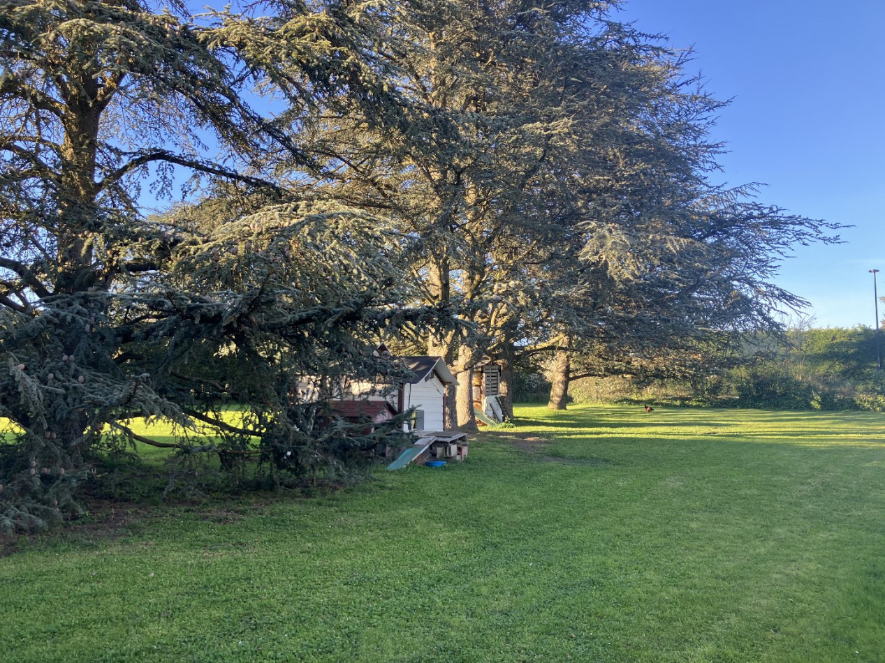 à vendre Terrain Marcy L'etoile - Photo 3