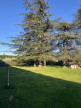 vente Terrain Marcy L'etoile