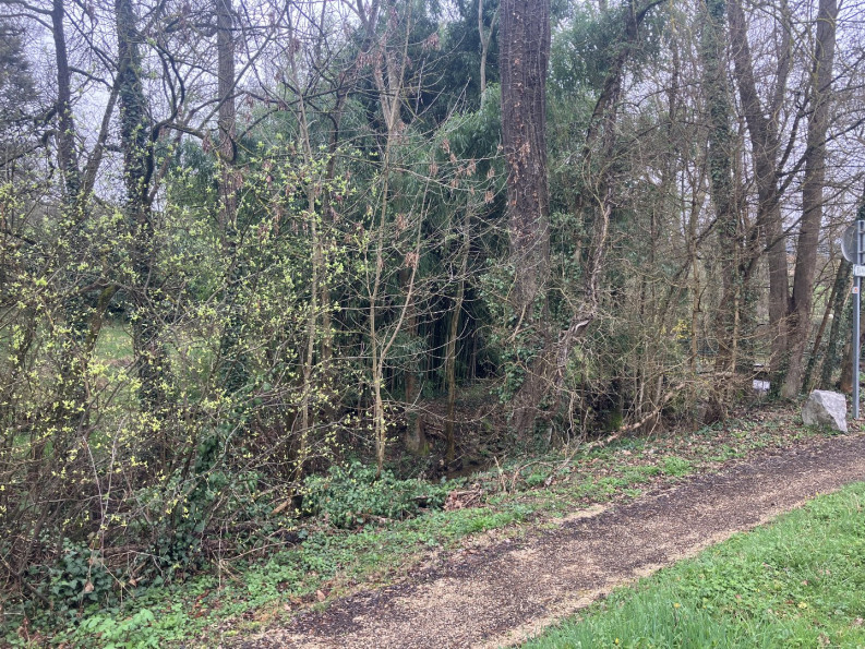 location Maison Mornant - Photo 5