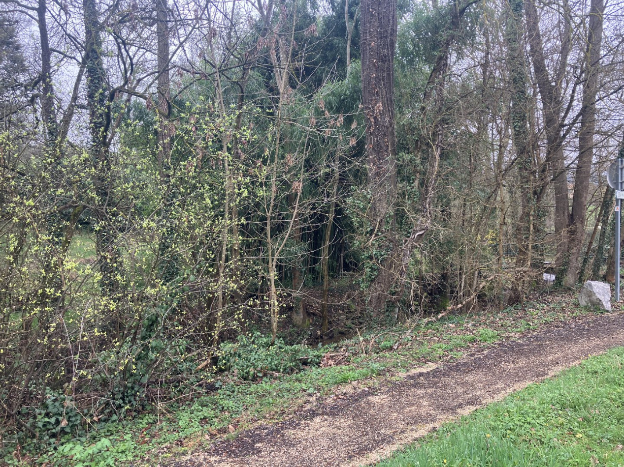 à louer Maison Mornant - Photo 5