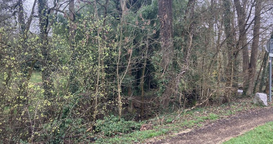 location Maison Mornant