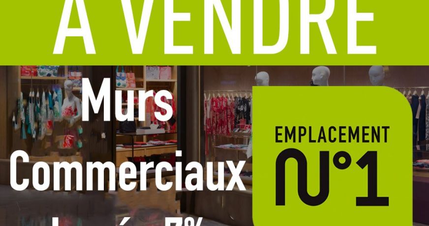 vente Lyon 1er Arrondissement