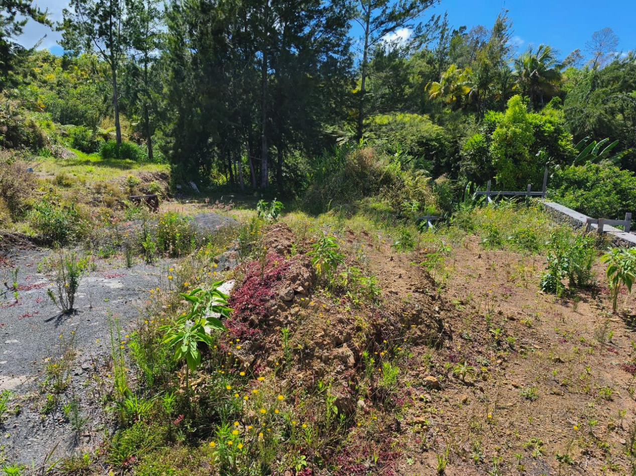 à vendre Terrain Petite Ile - Photo 1