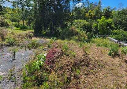 vente Terrain Petite Ile