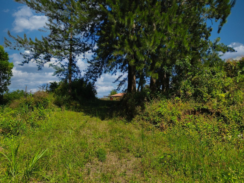 vente Terrain Petite Ile - Photo 3