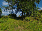vente Terrain Petite Ile