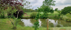 vente Maison Plouasne