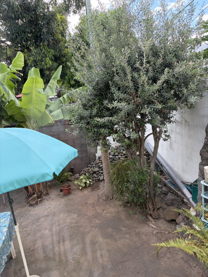 à vendre Maison Saint Louis - Photo 15