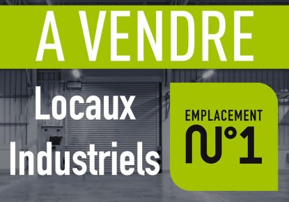 vente Local industriel Saint Romain En Gier
