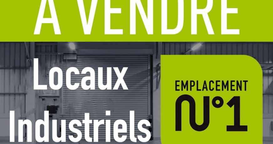 vente Local industriel Saint Romain En Gier