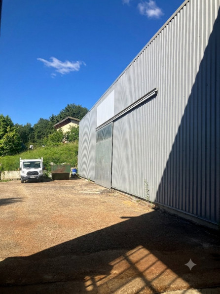 vente Local industriel Saint Romain En Gier - Photo 6