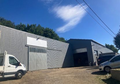 vente Local industriel Saint Romain En Gier