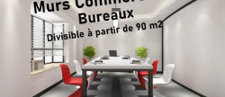 vente Saint Didier Au Mont D'or