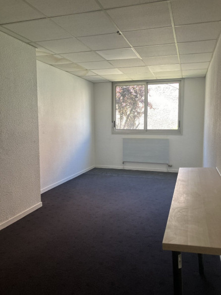 location Bureau Lyon 7eme Arrondissement - Photo 1