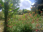 à vendre Maison Becherel