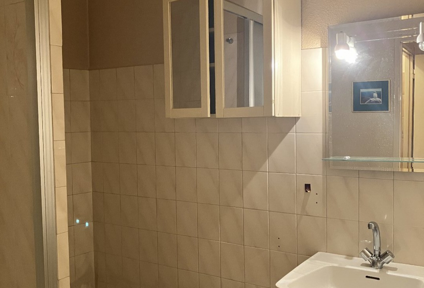 vente Appartement Villeurbanne - Photo 6