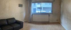 vente Appartement Villeurbanne