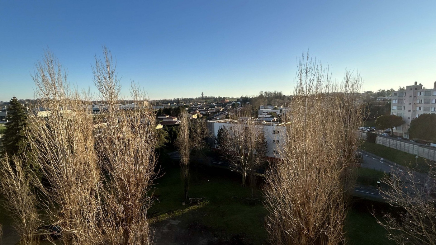à vendre Appartement Decines Charpieu - Photo 4