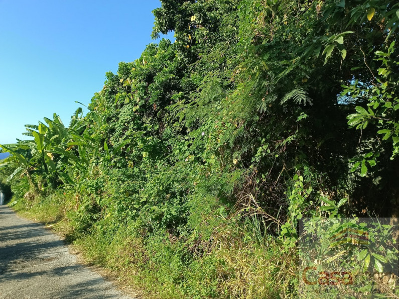 vente Terrain Sainte Rose - Photo 1