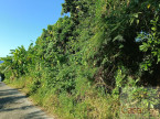 vente Terrain Sainte Rose