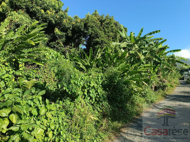 vente Terrain Sainte Rose - Photo 2