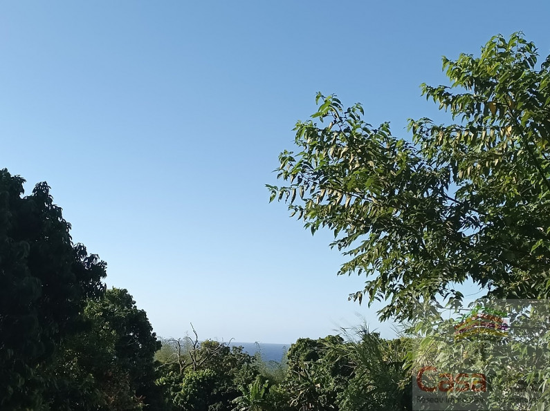 vente Terrain Sainte Rose - Photo 3