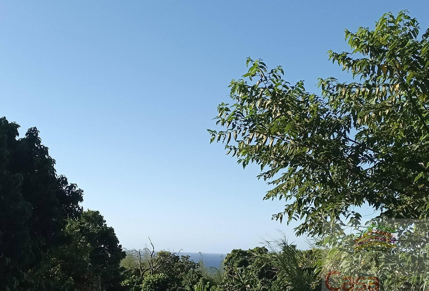 vente Terrain Sainte Rose - Photo 3