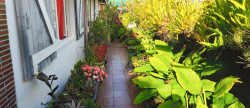 vente Maison à ossature bois Saint Pierre