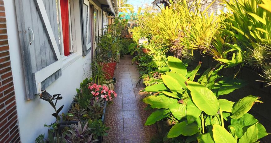 vente Maison à ossature bois Saint Pierre