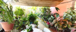 vente Maison à ossature bois Saint Pierre