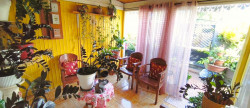 vente Maison à ossature bois Saint Pierre
