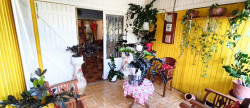 vente Maison à ossature bois Saint Pierre