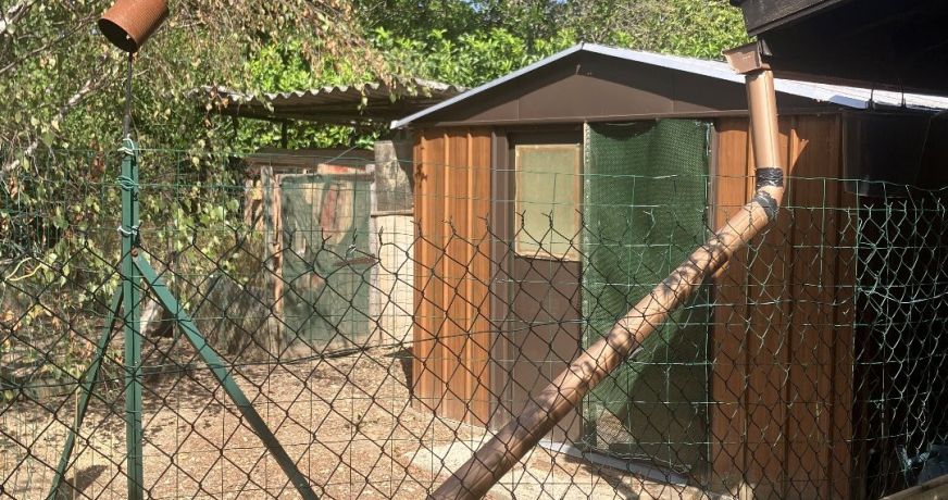 vente Maison Saint Laurent D'agny