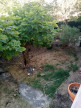 à vendre Appartement Beaumont De Lomagne
