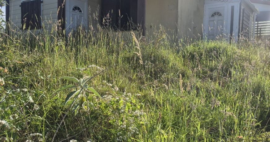 vente Maison à rénover La Plaine Des Cafres